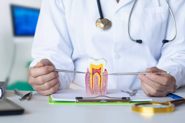 Best Emergency Treatment for Dental Infections or Abscesses in Lynchburg, VA
